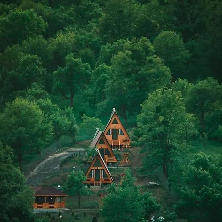 Camping Stelele Coziei